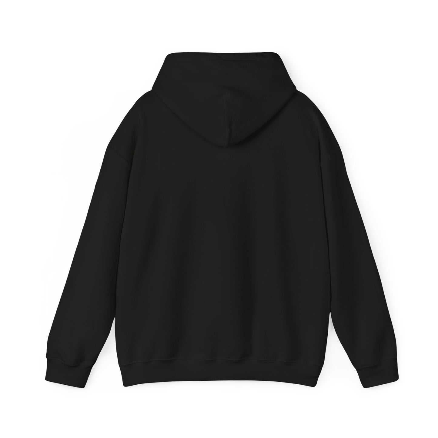 CSGI ORIGINAL HOODIE